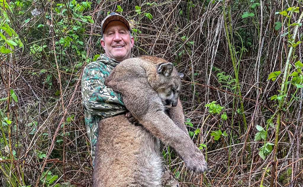 So You Want To Call A Mountain Lion