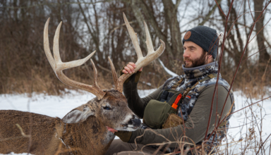 Backtracking To Your Next Buck