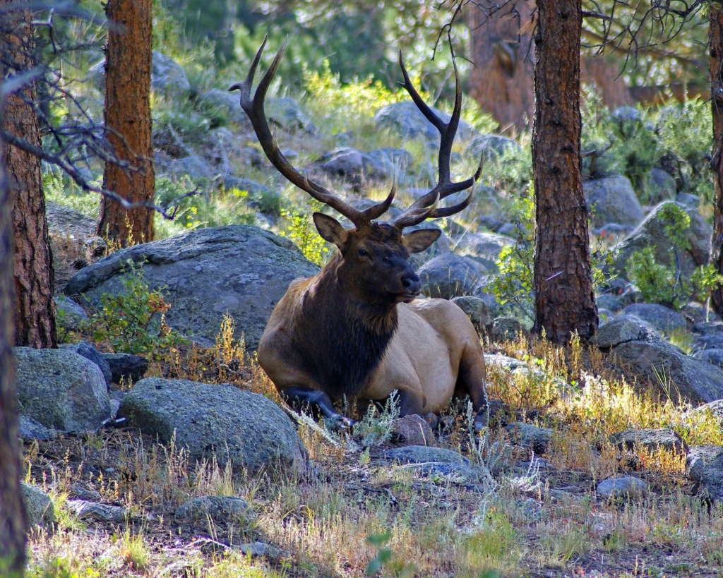 Plan A Gritty Fall Hunt