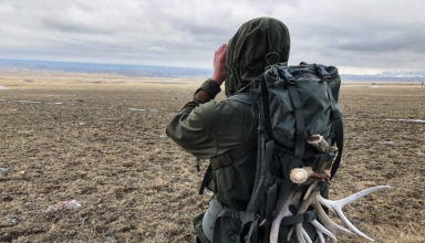Shed Antler Hunting Gear You Need To Succeed