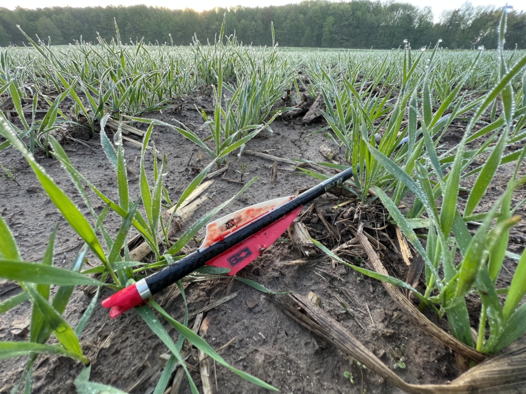 Tips For Hunting Turkey With A Crossbow