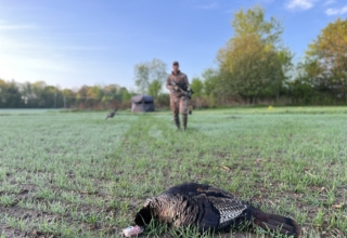Tips For Hunting Turkey With A Crossbow