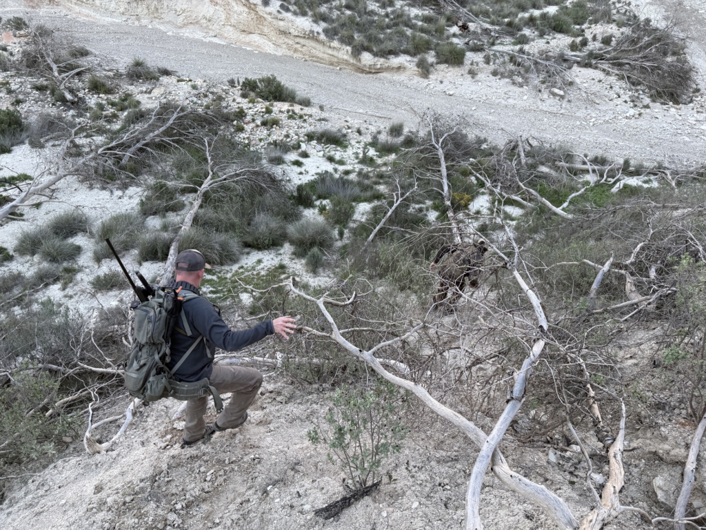 Extreme Field Test: Browning X Bolt 2 Speed Lr