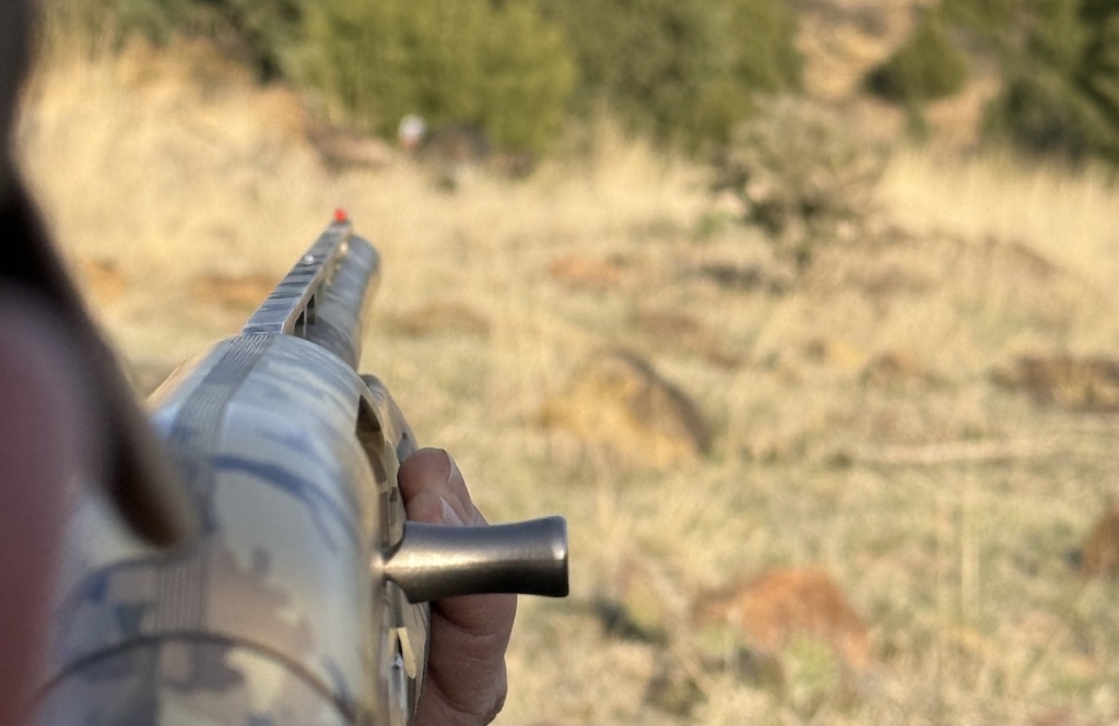 5 Decoy Tips For Late Season Turkeys