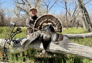 Field Test: Hoyt Alpha Ax 2 29 Goes To Work