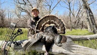 Field Test: Hoyt Alpha Ax 2 29 Goes To Work