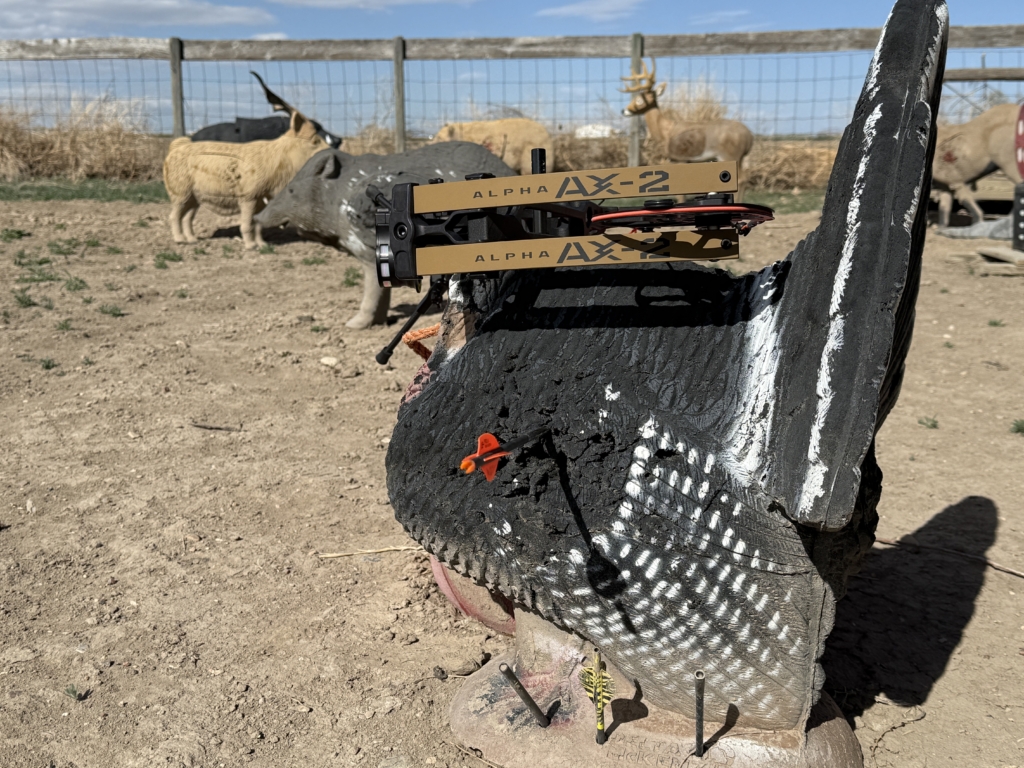 Field Test: Hoyt Alpha Ax 2 29 Goes To Work