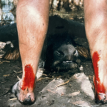 The 5 Hardest Big Game Hunts Of My Life