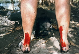 The 5 Hardest Big Game Hunts Of My Life