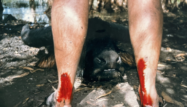 The 5 Hardest Big Game Hunts Of My Life