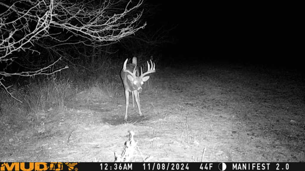 Tested True: Muddy Manifest 2.0 Cellular Trail Camera