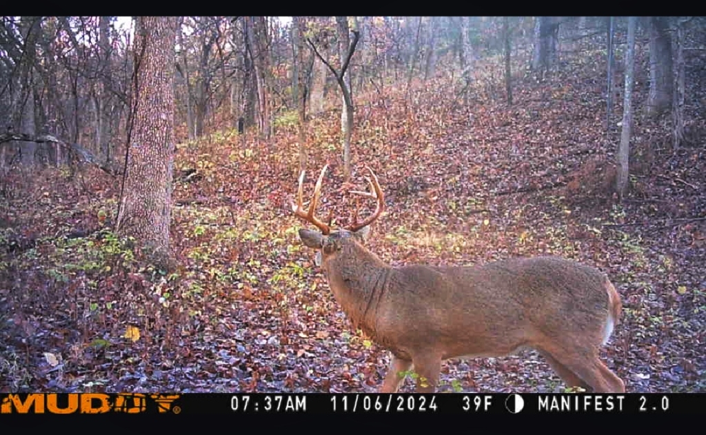 Tested True: Muddy Manifest 2.0 Cellular Trail Camera