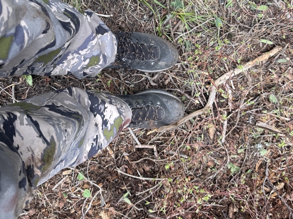 Trial By Fire: Meindl Alpine 1.5 Light Hiker