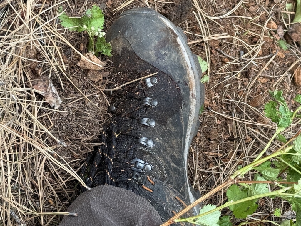Trial By Fire: Meindl Alpine 1.5 Light Hiker