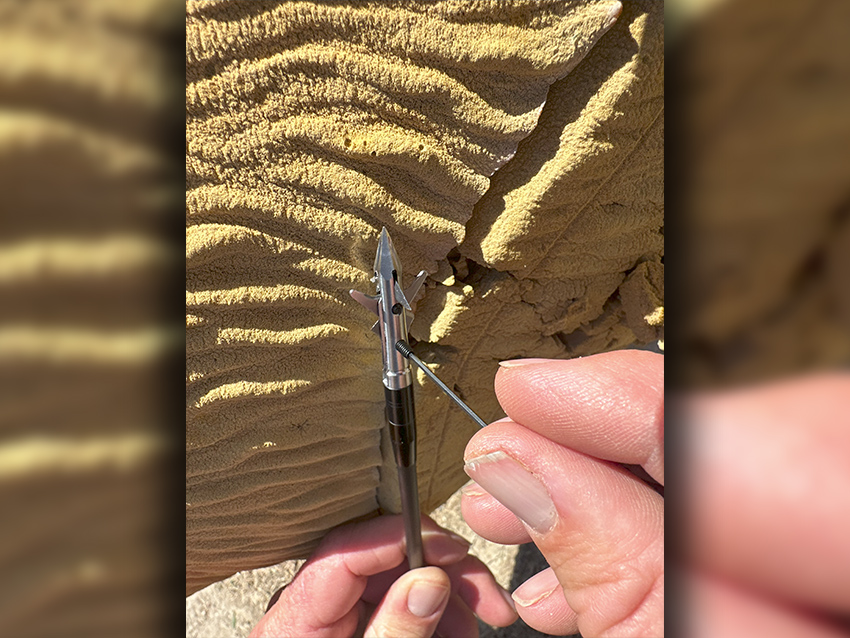 Tested True: Sevr's All New 4 Blade Hybrid Broadheads