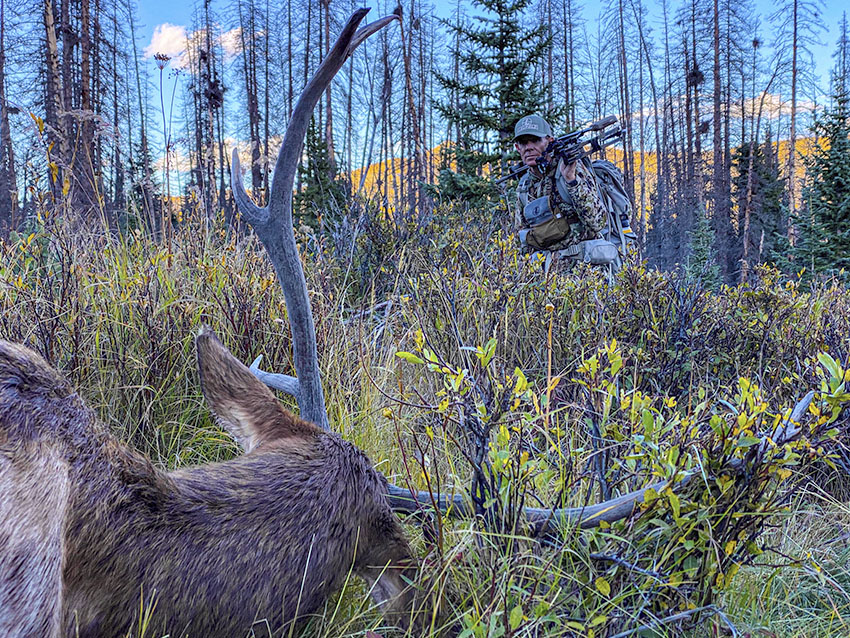 Tested True: Sevr's All New 4 Blade Hybrid Broadheads