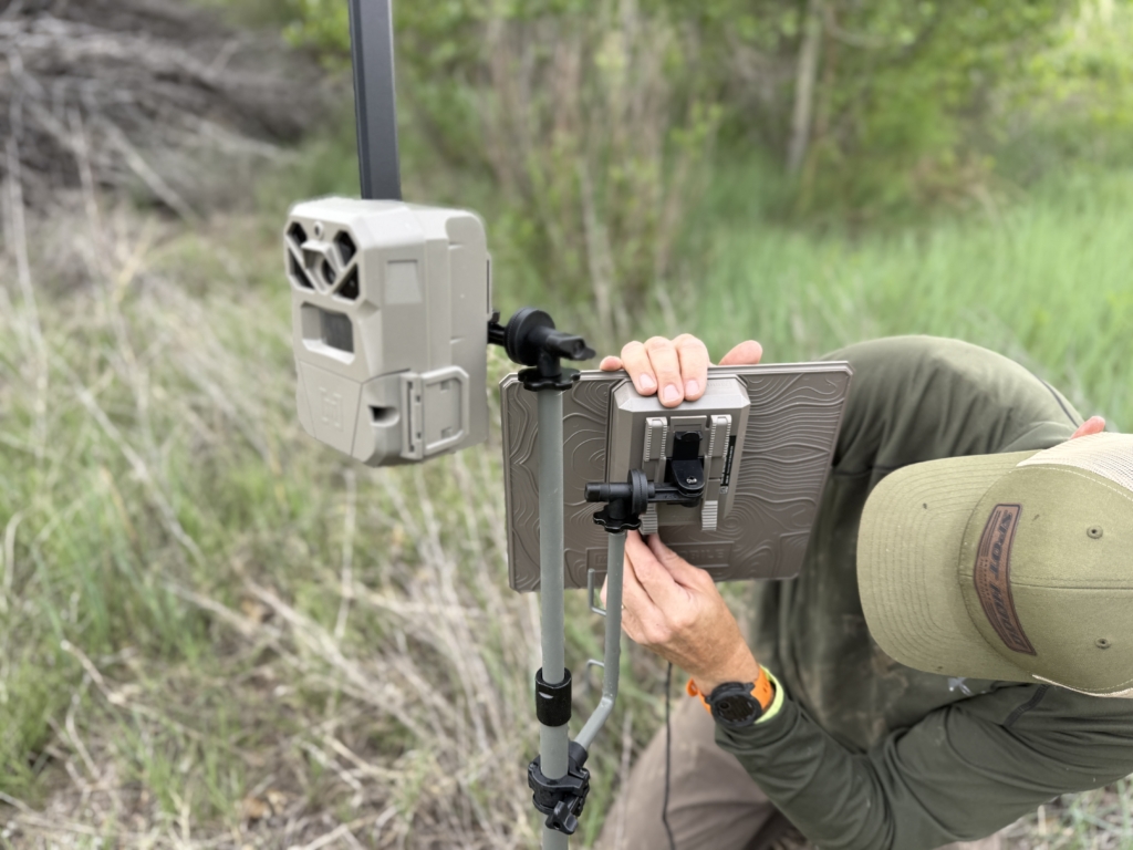 Tested True: Moultrie Edge Pro 2 Cellular Trail Camera