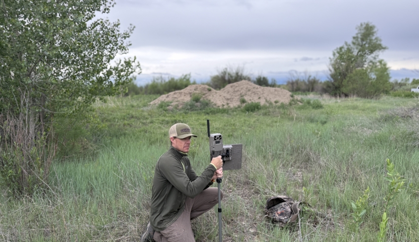 Tested True: Moultrie Edge Pro 2 Cellular Trail Camera