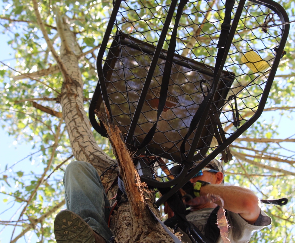 Tips To Consider To Boost Your Fall Whitetail Success