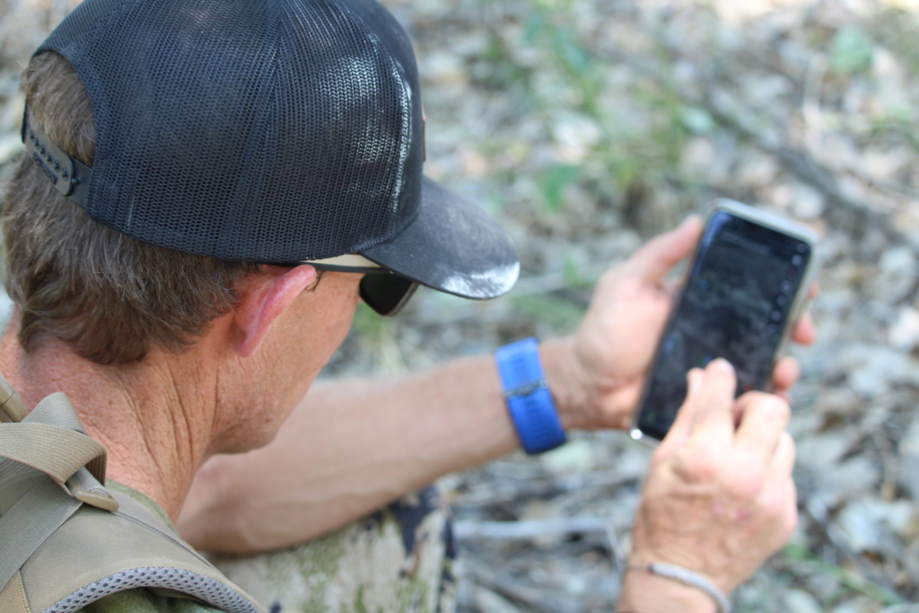 Tips To Consider To Boost Your Fall Whitetail Success