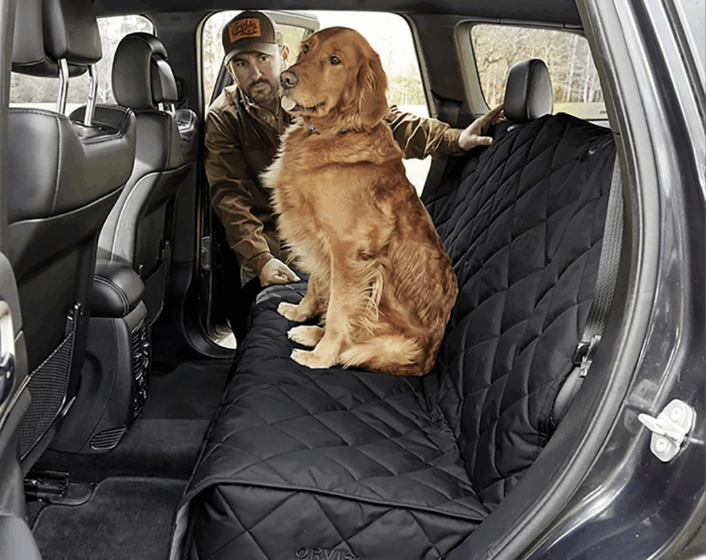 Gear Up For Summer Dog Training