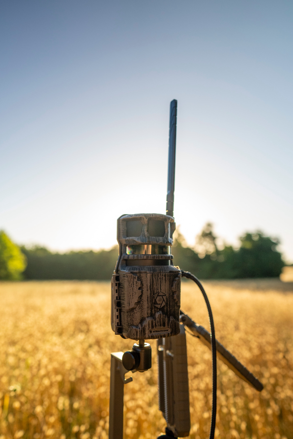 Steath Cam Cellular Camera