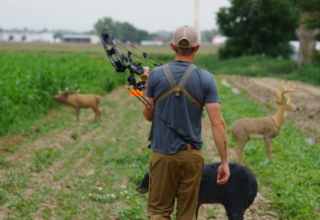 Tested: Pse Mach 33 Ds