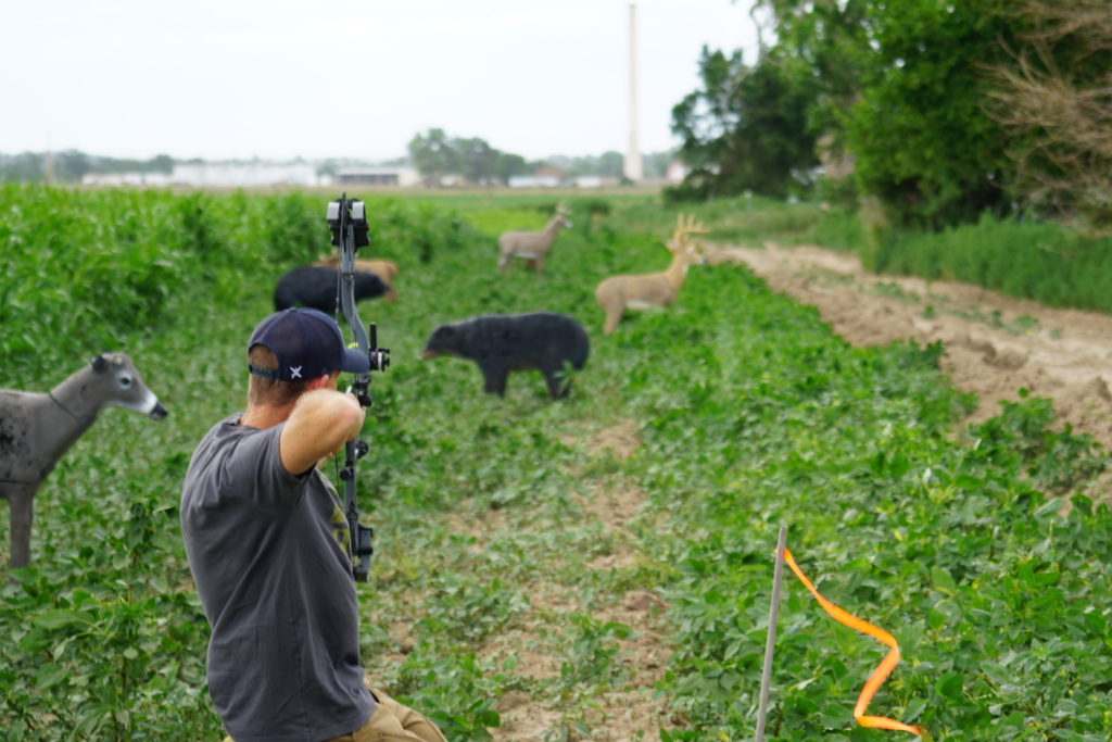 Tested: Pse Mach 33 Ds