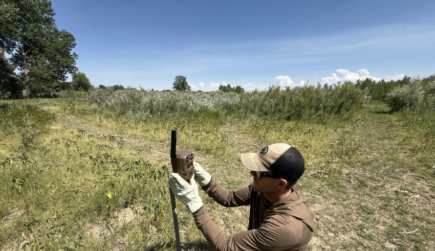 Tested True: Moultrie Edge Pro 3
