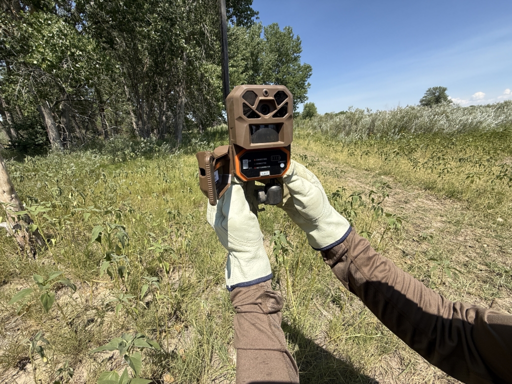 Tested True: Moultrie Edge Pro 3