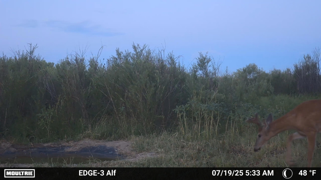 Tested True: Moultrie Edge Pro 3