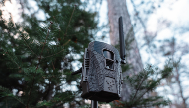 Wildgame Innovations Unveils Terra Xt 2.0 Cellular Trail Camera With On Demand Image Capture