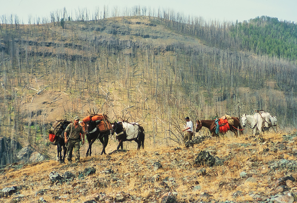 The Best Archery Elk Hunt Of My Life