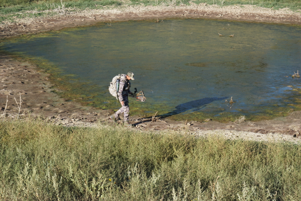 Four First Week Tactics For Archery Elk