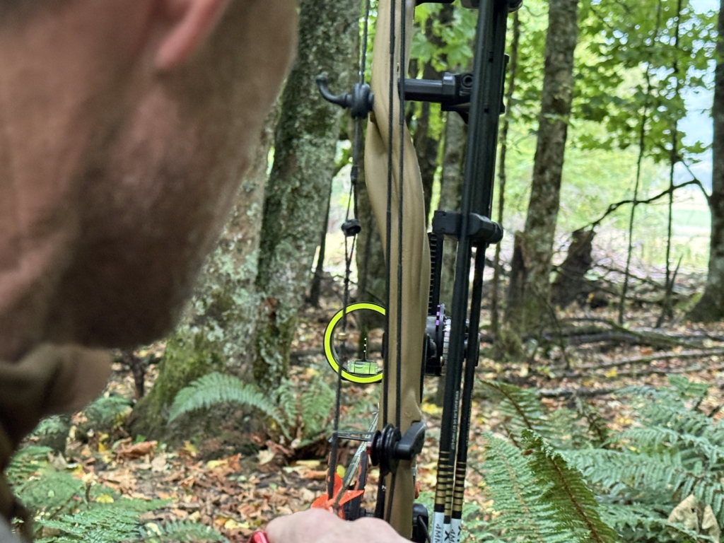 Three Bow Sights You Need To Know About