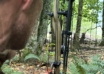Three Bow Sights You Need To Know About