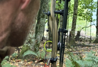 Three Bow Sights You Need To Know About