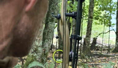 Three Bow Sights You Need To Know About