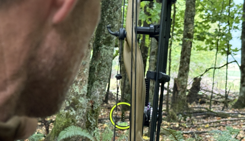 Three Bow Sights You Need To Know About