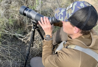 Leupold Sx 4 Pro Guide Hd: Tested & True
