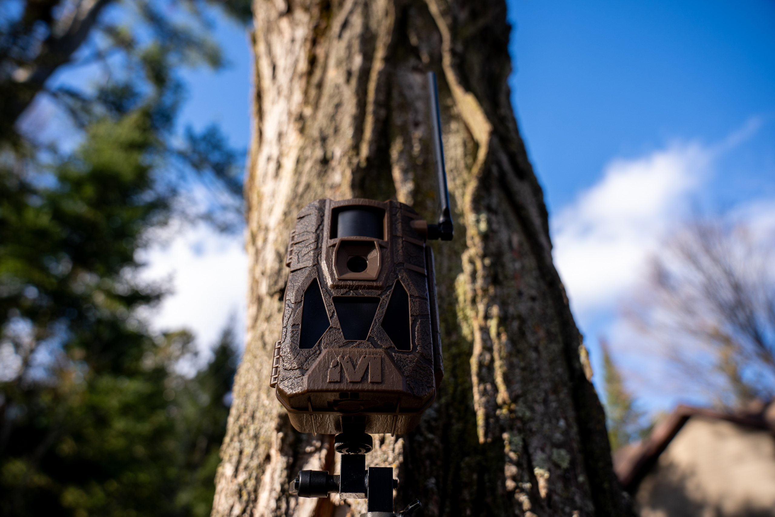 Muddy Matrix 2.0 Cellular Trail Camera Now Available