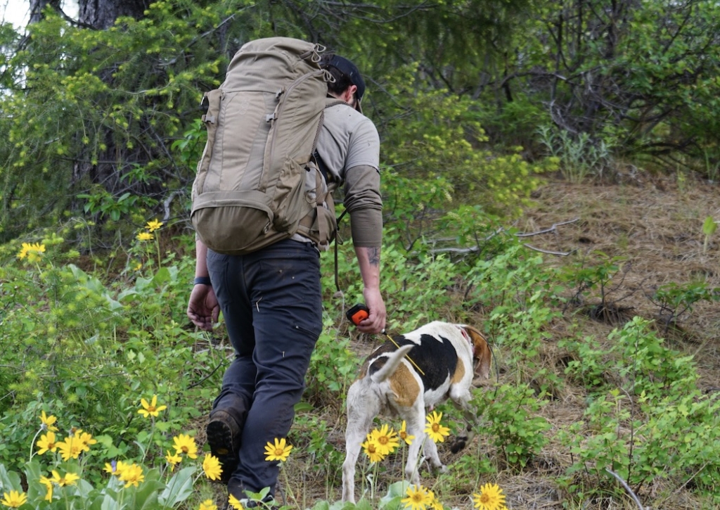 Tested True: Browning's Bar Mk 3