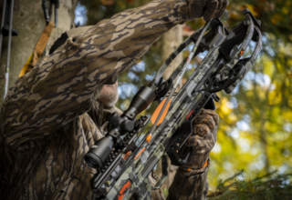 Do Budget Crossbows Deliver? What Hunters Need To Know