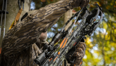 Do Budget Crossbows Deliver? What Hunters Need To Know