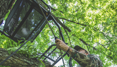 Gsm Outdoors Supports National Tree Stand Awareness Month