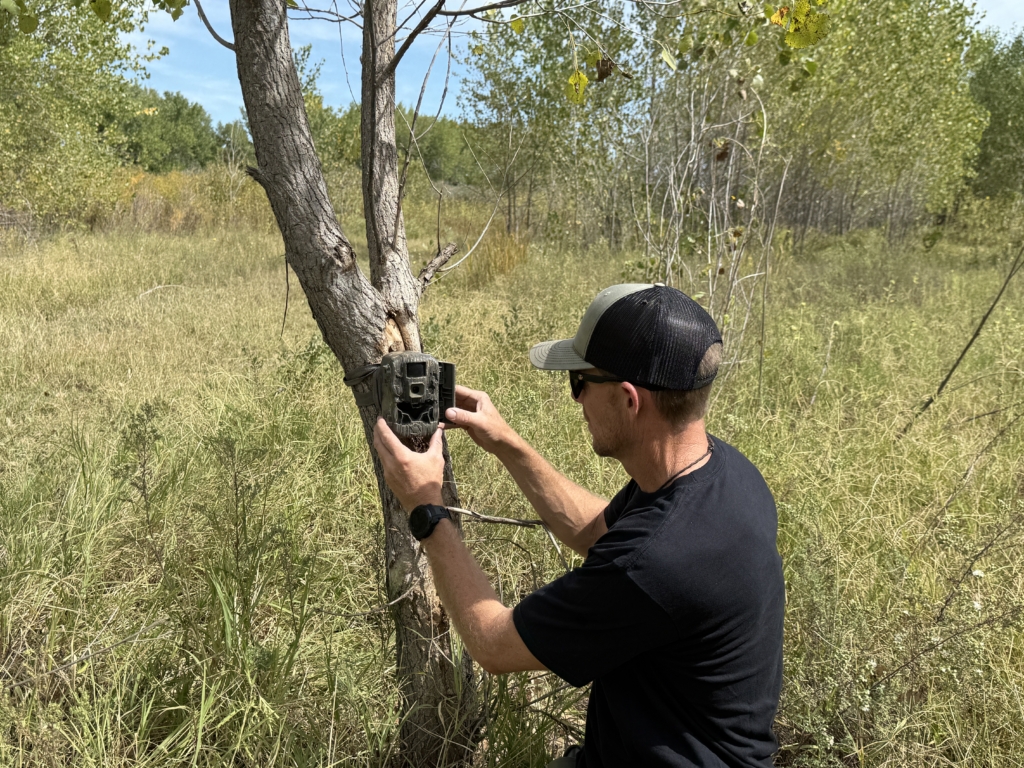 Two Stellar Stealth Cam Options