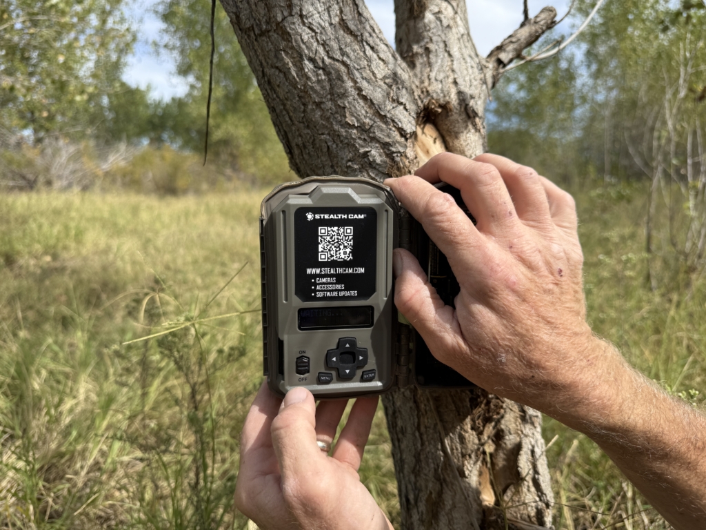 Two Stellar Stealth Cam Options