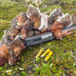 Ptarmigan Hunting With Browning's A5 20 Gauge