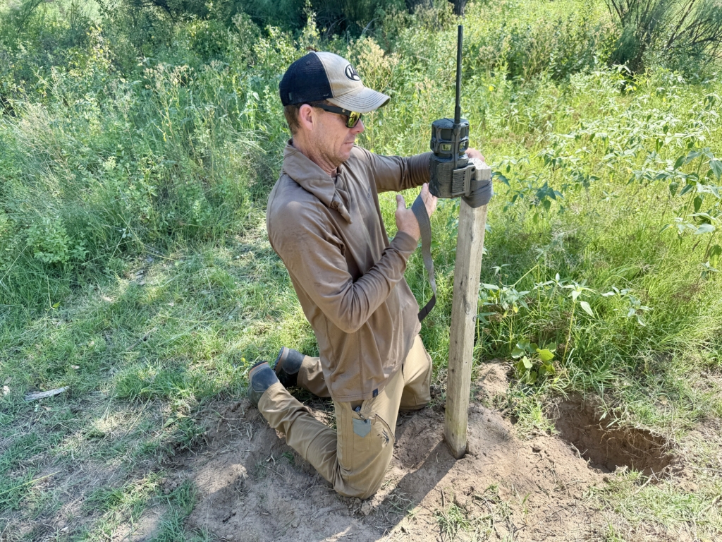 Two Stellar Stealth Cam Options