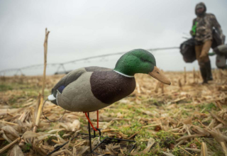 Hardcore Waterfowl Launches Single Sample Decoy Program For Hunters